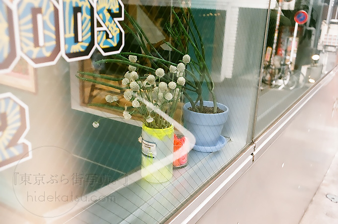 I want to take a little more on Curtagon 35mm in a sunny day! in Shibuya